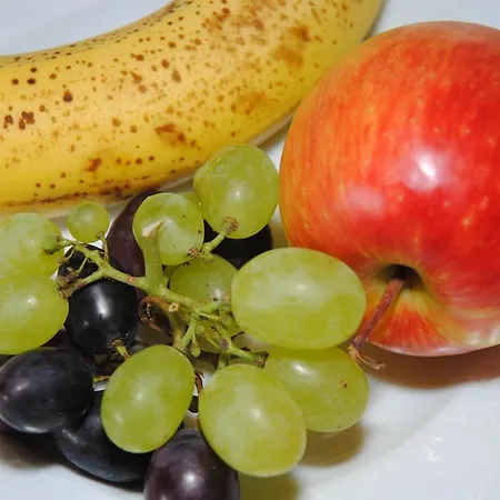 فندق مبيت وإفطار Gaestehaus Pirker فينكنبرغ